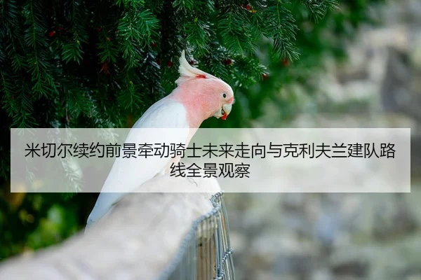 米切尔续约前景牵动骑士未来走向与克利夫兰建队路线全景观察